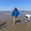 Nordsee